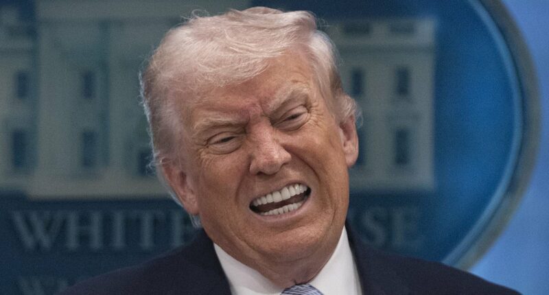 Iran's nuclear programme 'has survived attacks and can make bombs'