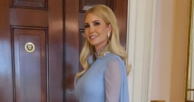 Ivanka Trump wows as she makes rare appearance at state dinner