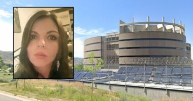 Jail workers let woman with lupus die 'alone in her cell' after she was found 'slumped over' in car, took her to 'lower level clinic' instead of hospital before locking her up: Suit