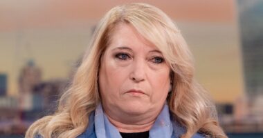 James Bulger's mum 'disgusted' after boy's grave is vandalised again