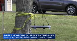 Jenna Strouble pleads not guilty in Crete Township triple shooting that killed Jacob Lambert, Stacy and Patrick Forde: court docs