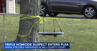 Jenna Strouble pleads not guilty in Crete Township triple shooting that killed Jacob Lambert, Stacy and Patrick Forde: court docs