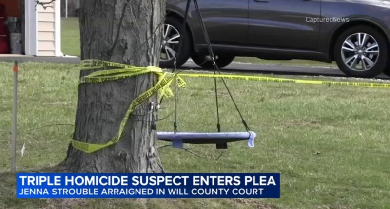 Jenna Strouble pleads not guilty in Crete Township triple shooting that killed Jacob Lambert, Stacy and Patrick Forde: court docs