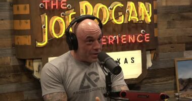 Joe Rogan throws shade at Trump over AI Jesus post