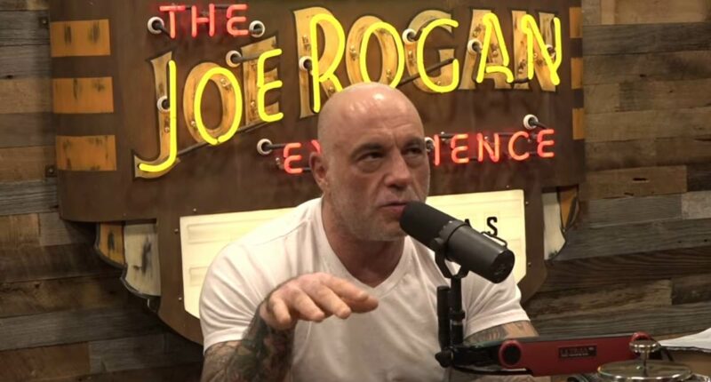 Joe Rogan warns America faces dystopian 'Children of Men'-type future