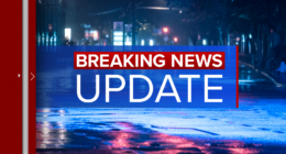 Joliet police, Plainfield School District 202 speak after ex-Hinsdale Central lacrosse coach Alex Buetikofer charged