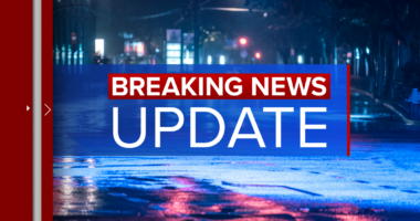 Joliet police, Plainfield School District 202 speak after ex-Hinsdale Central lacrosse coach Alex Buetikofer charged