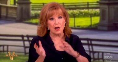 Joy Behar flubs the Bible while ranting about Trump's AI Jesus meme
