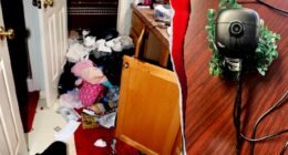 Judge describes illegal immigrant burglary crew's cross country operation as 'Ocean's Eleven-style conduct'