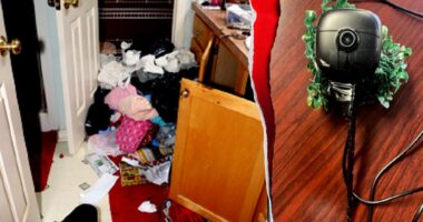 Judge describes illegal immigrant burglary crew's cross country operation as 'Ocean's Eleven-style conduct'