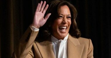 Vice President Kamala Harris is considering running for the top job in 2028.