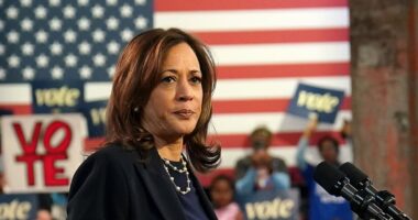 Kamala Harris' most trusted pollster reveals his final advice with a week until Election Day