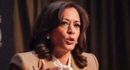 Kamala Harris said she 'might' run for president in 2028 â reveals to Al Sharpton her political comeback deliberations
