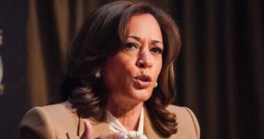Kamala Harris said she 'might' run for president in 2028 â reveals to Al Sharpton her political comeback deliberations