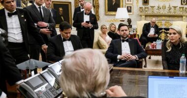 Karoline Leavitt shares dramatic photos after WHCD dinner