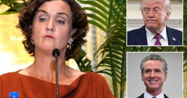 Katie Porter's former staffers finally come to her aid to defend vile videos