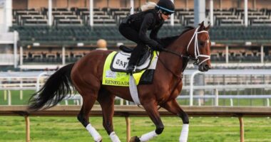 Kentucky Derby 2026 odds, post positions, date, start time: Renegade, Commandment, Further Ado expert picks