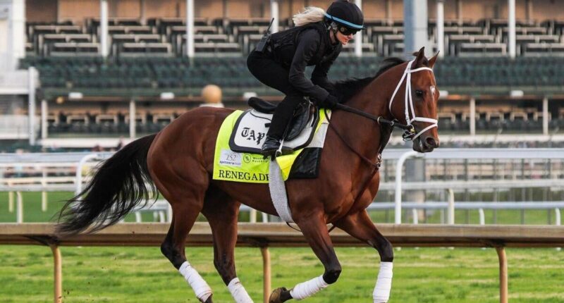 Kentucky Derby 2026 odds, post positions, date, start time: Renegade, Commandment, Further Ado expert picks