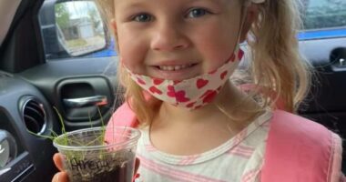 Killer FedEx-driver brought KNIVES to church, his own pastor says