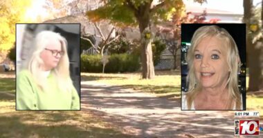 Killer who strangled sister tried to do it before: Family