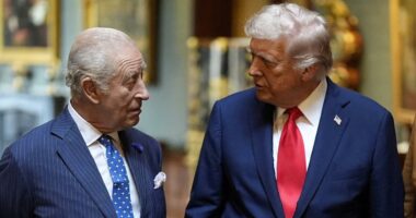 King Charles will be treated to historic military first during US visit, White House schedule reveals