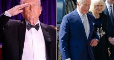 King Charles's US visit still going ahead, says Palace, despite WHCD shooting