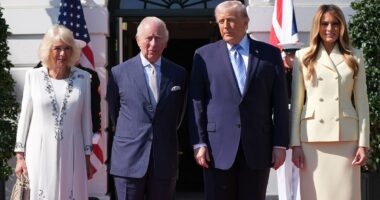 King bids to heal UK's 'special relationship' in Congress speech