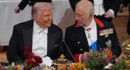 King to persevere with US State Visit after attempt on Trump's life