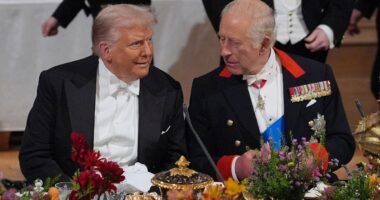 King to persevere with US State Visit after attempt on Trump's life