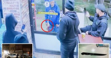 Knife-wielding lunatic shot by NYPD cop after terrorizing Harlem grocery store
