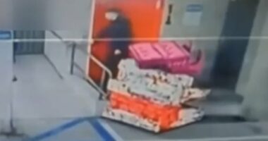 LA's 'most tasteful burglar' snatches $58,000 sofa