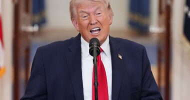 LIVE: Saudi Arabia and UAE attacked by drones despite Trump's threats