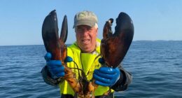 LOBSTER war rocks Maine coast as local fishermen battle bigger rival