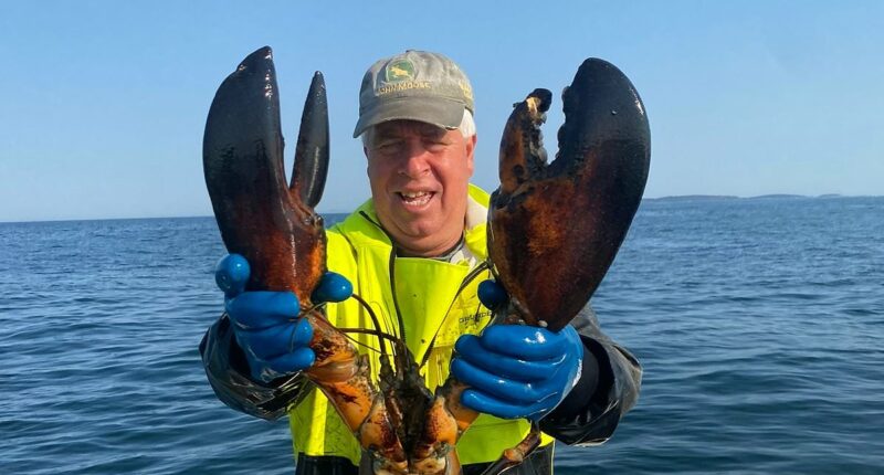 LOBSTER war rocks Maine coast as local fishermen battle bigger rival