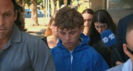 Labor figure's accused killer pleads guilty to assaulting another man