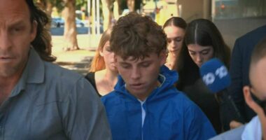 Labor figure's accused killer pleads guilty to assaulting another man