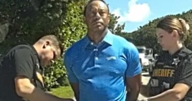 Latest Masters proves life goes on in golf, even without Tiger Woods