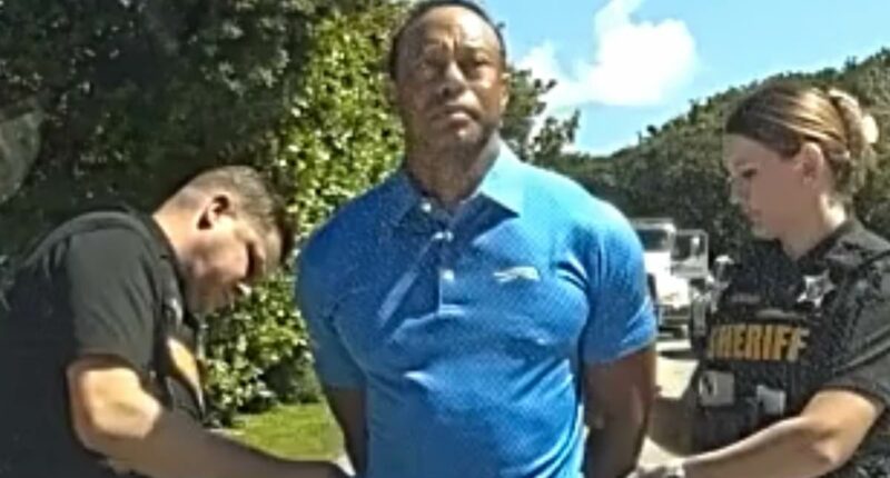 Latest Masters proves life goes on in golf, even without Tiger Woods