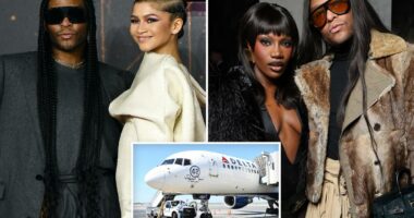 Law Roach slammed for 'flaunting privilege' after bougie Delta Air Line seat complaint