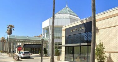 Law enforcement responding to 'active shooter' at Mall of Louisiana: Gov Landry