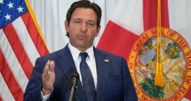 Lawsuit filed as DeSantis signs elections bill requiring Florida voters provide proof of citizenship