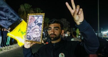 Lebanon celebrates start of historic ceasefire with Israel