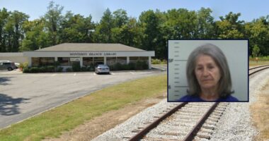 Library employee left baby in hot car to die, police say