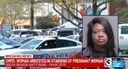 'Like a horror film': Pregnant mom walking in grocery store parking lot with toddler stabbed by woman in broad daylight after having 'no prior interactions' with her, police say