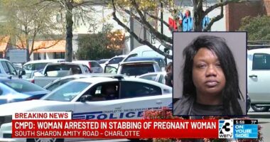 'Like a horror film': Pregnant mom walking in grocery store parking lot with toddler stabbed by woman in broad daylight after having 'no prior interactions' with her, police say