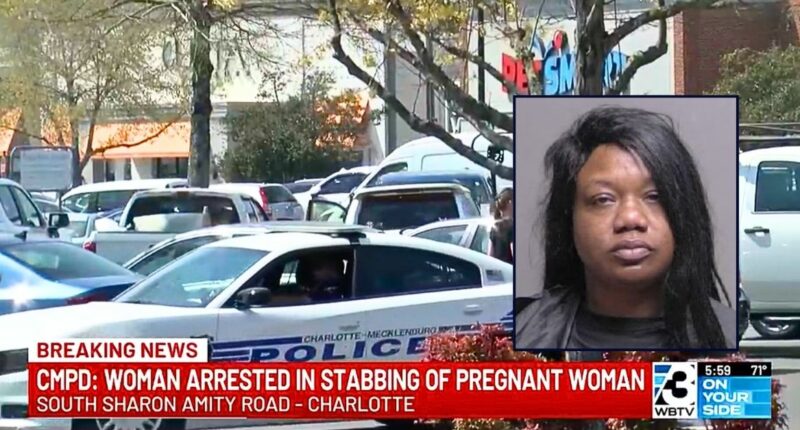 'Like a horror film': Pregnant mom walking in grocery store parking lot with toddler stabbed by woman in broad daylight after having 'no prior interactions' with her, police say