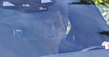 Lindsey Buckingham seen for first time since horror attack