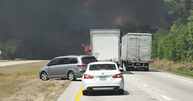 Live Updates | Homes destroyed, residents evacuated due to wildfire in Brantley County, Georgia