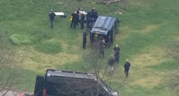 London park reopens after police probed 'video of radioactive drones'