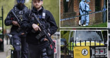 London synagogue targeted in suspected arson attack: report